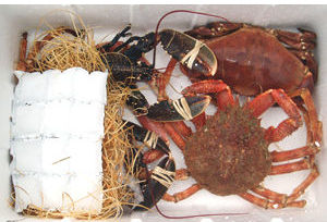 a mixed box of shellfish