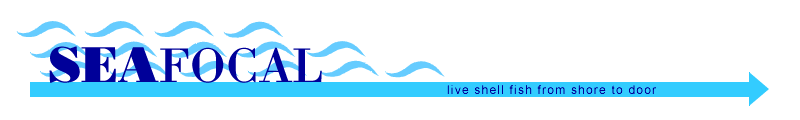 seafocal logo